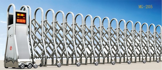 1584165626185129.jpg MG-205.jpg