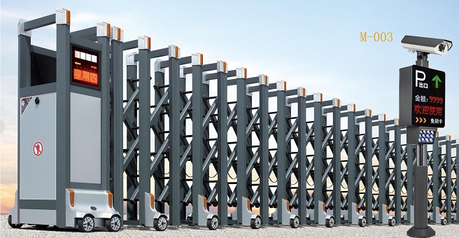 1593319738708335.jpg M-003.jpg